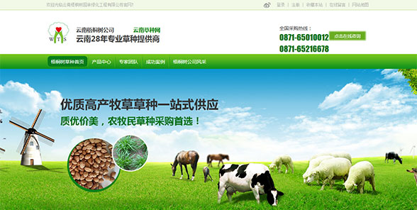 云南梧桐树园林绿化工程有限公司-营销型网站案例展示