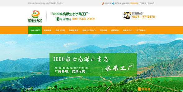 云南地衡丰农业科技开发有限公司-营销型网站案例展示