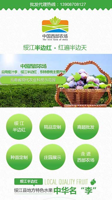 绥江县金龙现代农业有限公司-手机网站案例展示